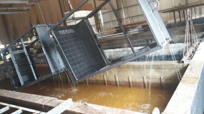 Galvanize Process

